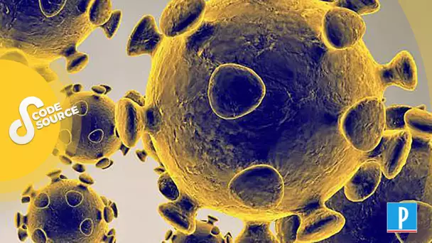 Pandémie de coronavirus : ce que les scientifiques ont appris sur la maladie Covid-19