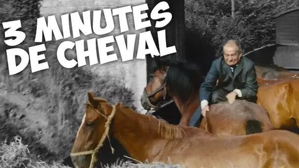 3 minutes de cheval avec Louis de Funès !