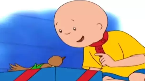 Caillou et le Chant des Oiseaux | Caillou en Français