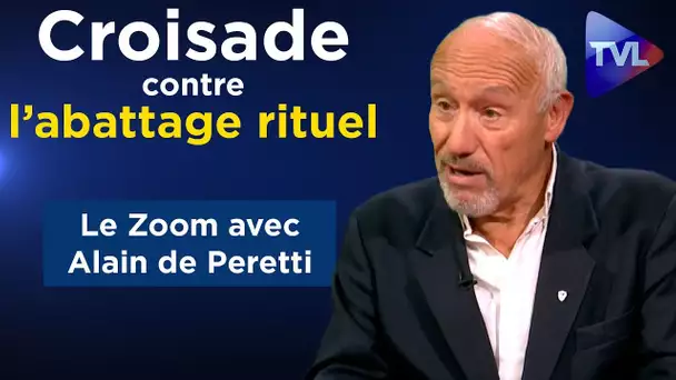 Vigilance Halal en croisade contre l'abattage rituel - le Zoom - A. de Peretti