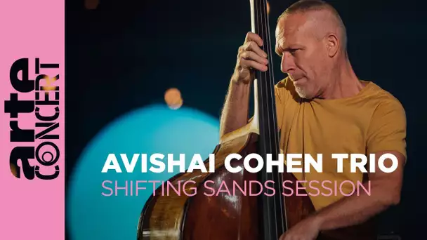 Avishai Cohen Trio - ARTE