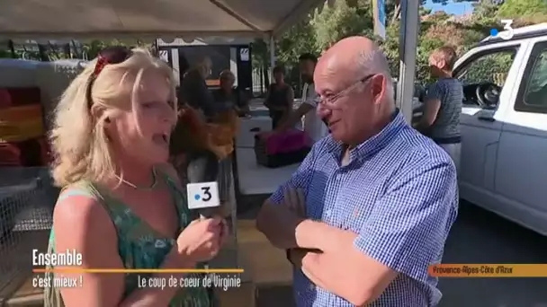 Toulon (Var) : l’opération "Des poules pour réduire ses déchets"