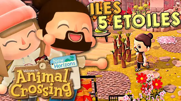 ON VISITE VOS ILES 5 ETOILES AVANT LA MISE A JOUR ! | ANIMAL CROSSING NEW HORIZONS CO-OP