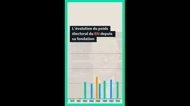 Comment le poids électoral du Rassemblement national a évolué depuis sa création ?