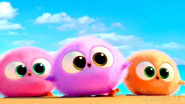 Ces bébés oiseaux sont adorables 🥺 | Angry Birds 2 | Extrait VF