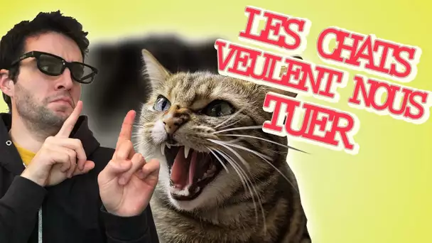 LES CHATS VEULENT NOUS TUER ?! Vrai Ou Faux #4