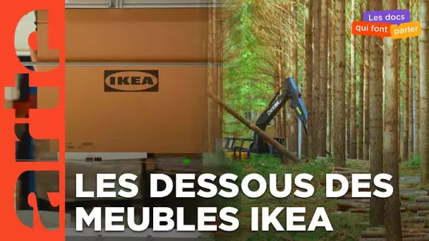 Ikea, le seigneur des forêts | ARTE