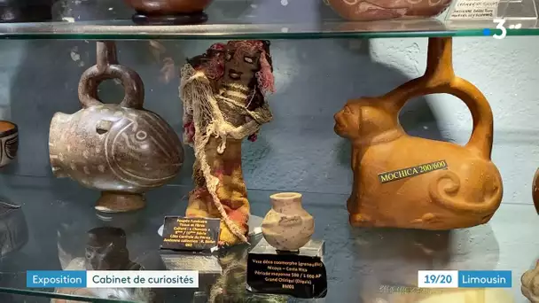 cabinets de curiosités au musée des cultures du monde