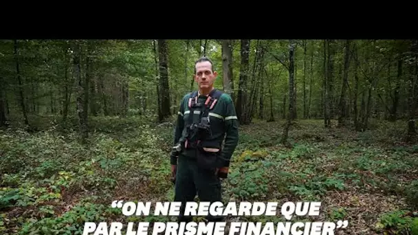 Pourquoi ce garde forestier s'inquiète pour sa profession et la forêt