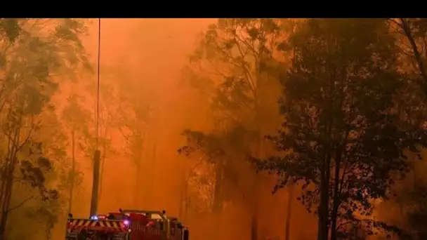 Incendies en Australie : l'état d'urgence déclaré dans le sud-est du pays