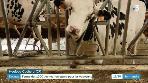 Coup de frein pour le projet de ferme des 1000 vaches à Houlbec-Cocherel (Eure)