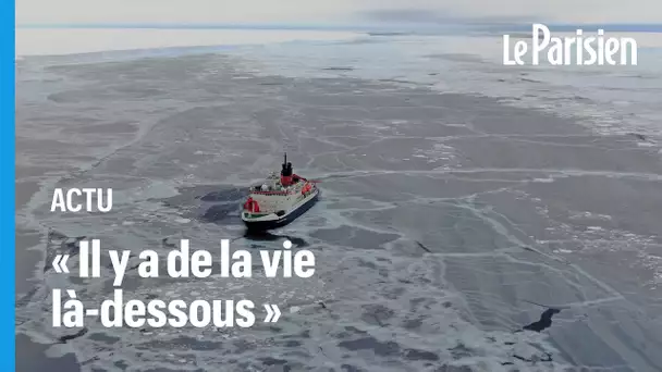 Un iceberg géant se détache, ils s’engouffrent et découvrent une vie sous-marine “grouillante