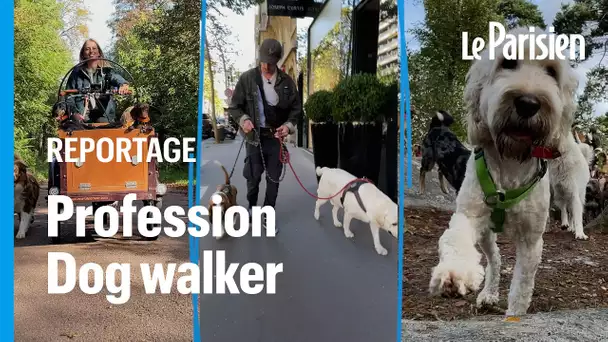 Avec 2 ou à 50 chiens, le boom du « Dog walking » à Paris