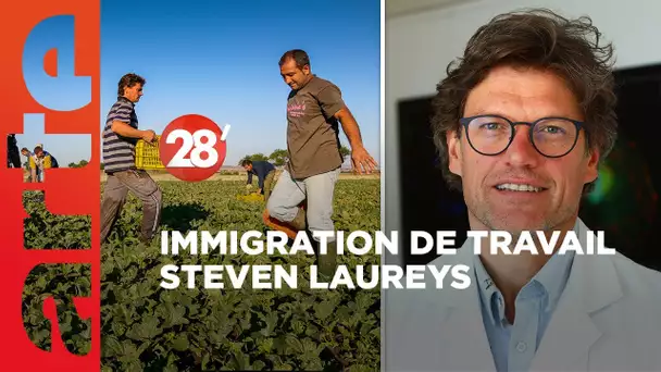Steven Laureys / Doit-on faire davantage appel aux immigrés ? - 28 Minutes - ARTE