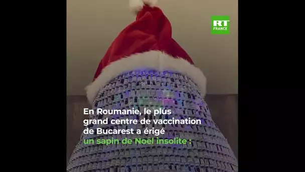 Roumanie: un arbre de Noël à pas piquer des ver(re)s