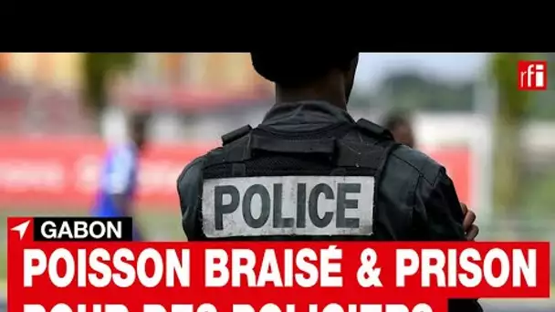 Gabon: une dispute autour d’un poisson se termine par la case prison pour des policiers • RFI