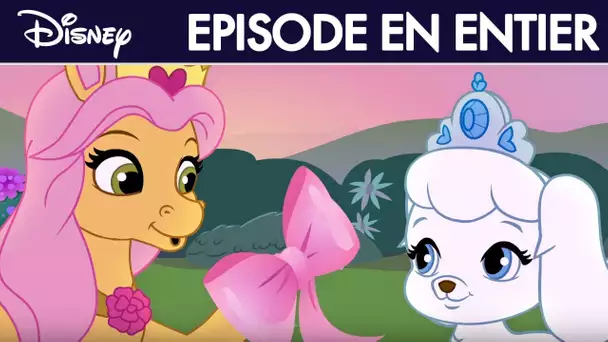 Le Petit Royaume des Palace Pets - L&#039;invitation I Disney