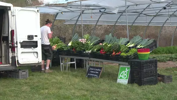 Fermeture des marchés : les agriculteurs bio de Gaillac s'organisent