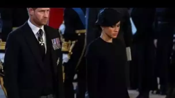 Très désagréable»: Meghan et Harry critiqués pour le «projet de vanité» de Netflix