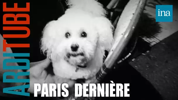 Quand Thierry Ardisson croise des chiens dans Paris Dernière | INA Arditube