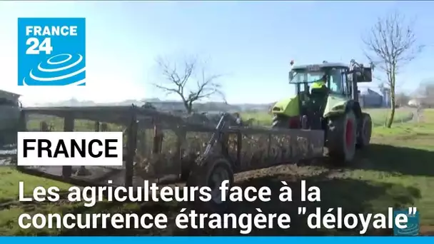 France : les agriculteurs dénoncent une concurrence étrangère "déloyale". • FRANCE 24