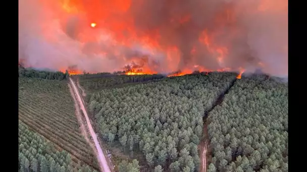Gironde : Ce que l’on sait sur les incendies qui ont déjà ravagé plus de 1.700 hectares de forêts