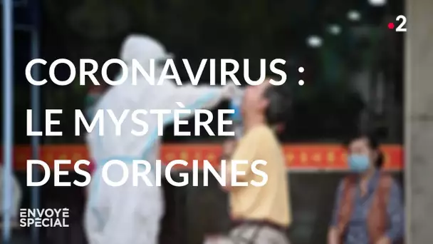 Envoyé spécial. Coronavirus : le mystère des origines - Jeudi 11 mars 2021 (France 2)