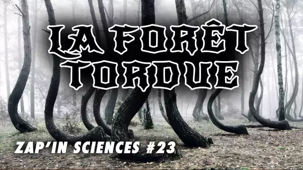 La forêt tordue - Zap'In Sciences #23