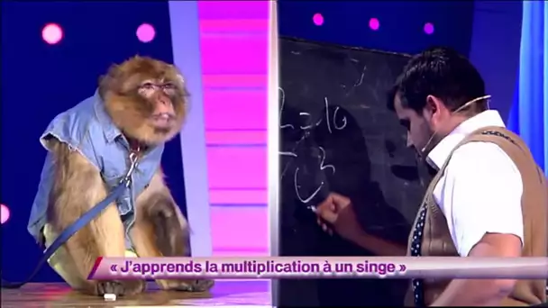 Artus & Arnaud Tsamere - J&#039;apprends la multiplication à un singe #ONDAR