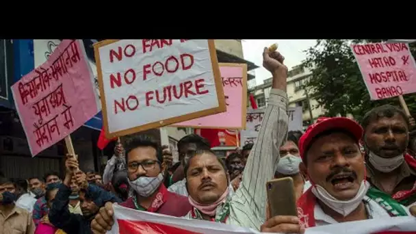 Inde : le Premier ministre Narendra Modi fait volte-face sur ses réformes agricoles • FRANCE 24