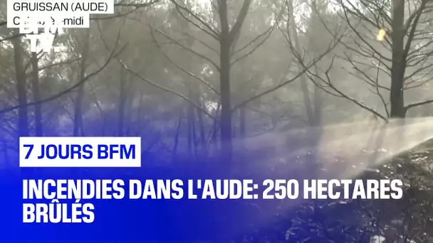 Incendies dans l'Aude: 250 hectares brûlés