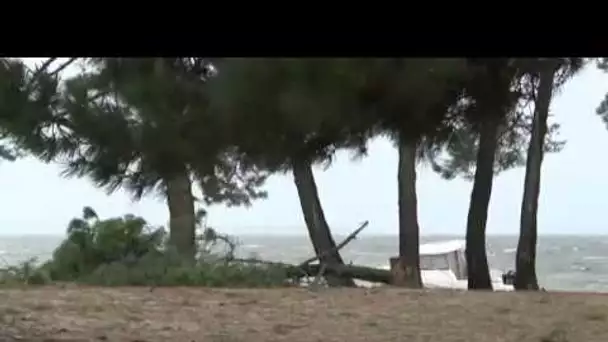 Tempête Amélie, Bassin d'Arcachon