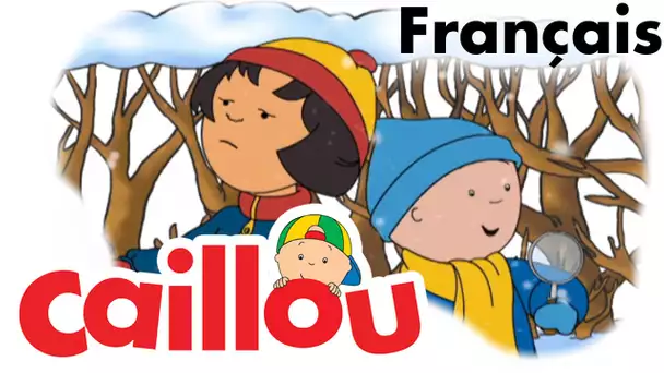 Caillou FRANÇAIS - Flocons de neige (S04E06) | conte pour enfant | Caillou en Français