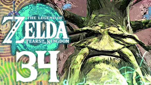 ZELDA TEARS OF THE KINGDOM #34 | LE VENERABLE ARBRE MOJO !