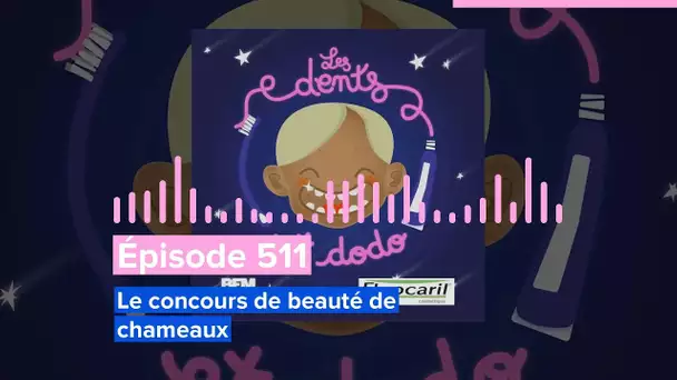 Les dents et dodo - Épisode 511 : Le concours de beauté de chameaux