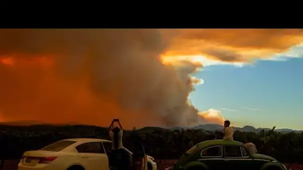 Incendies en Californie  : plus de 500 feux de forêt, une situation hors de contrôle