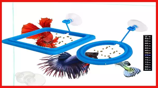 2 Pcs Fish Feeding Ring, Fish Safe Floating Food Feeder Circle Blue, with Suction Cup