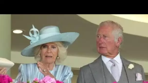 PHOTO Prince Charles et Camilla : leur supposé fils caché partage de nouvelles...