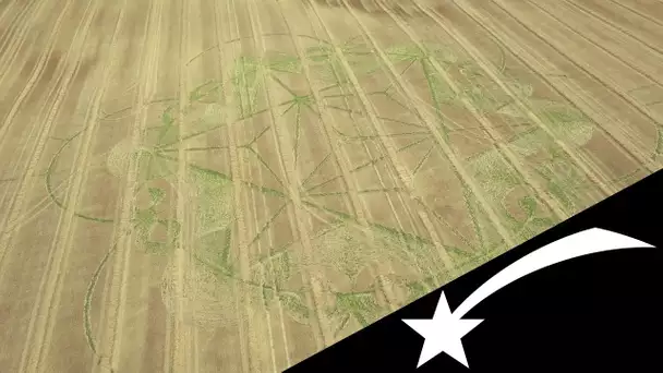 🌠 Les fantômes de Crop Circle