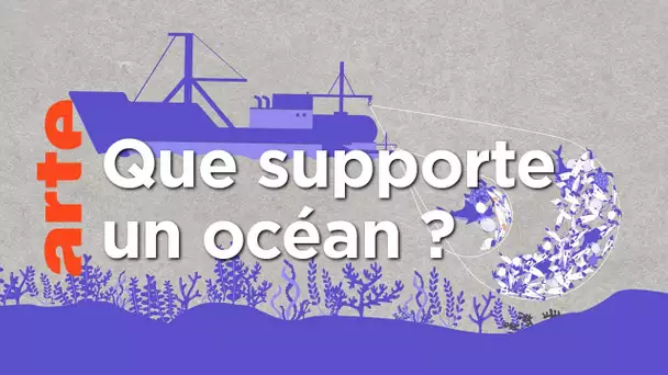 Évaluer la surexploitation des océans | Data Science | ARTE