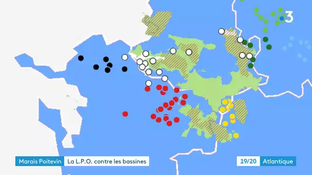Charente-Maritime : la LPO contre les bassines à Saint-Xandre