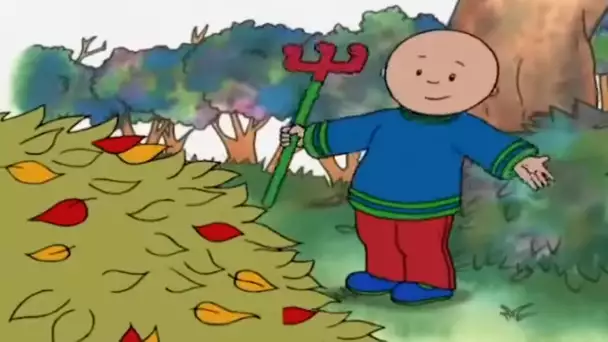 Ramasser Les Feuilles | Caillou en Français