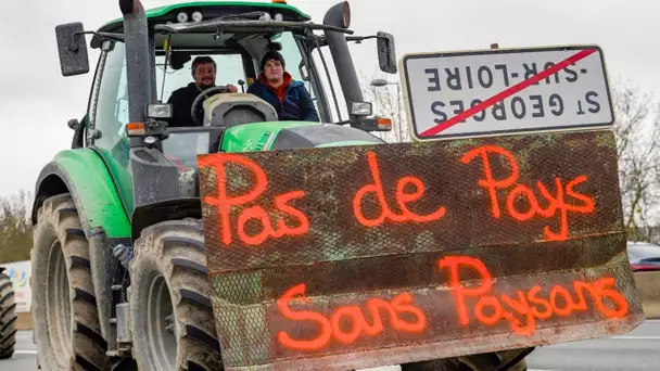 Colère des agriculteurs : les promesses du gouvernement tardent à se concrétiser, selon les explo…