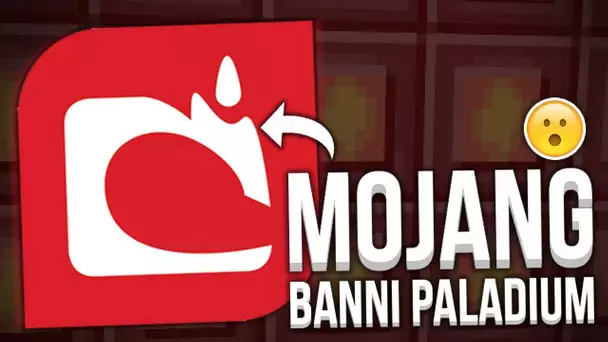 PALADIUM BANNI PAR MOJANG ?! - CE QUI S&#039;EST VRAIMENT PASSÉ...