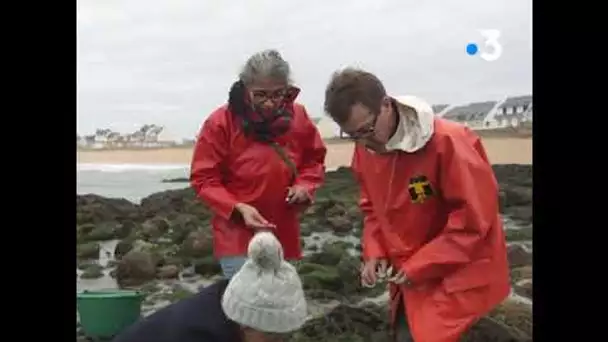 ENVIE DEHORS ! Entre mer et marais de Brière, au cœur de la presqu’île guérandaise [extrait 2]