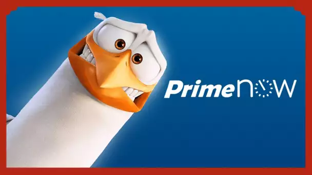 Cigognes & Compagnie - Amazon Prime Now