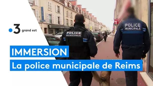 En immersion avec les policiers municipaux de Reims