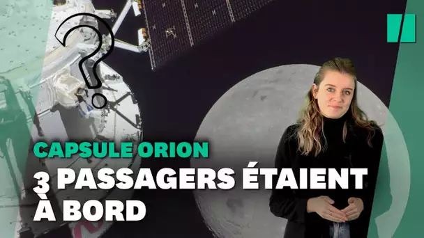 Mission Artemis : les mannequins de la capsule Orion auront beaucoup de choses à nous raconter