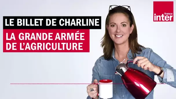 Pour la santé économique, ramassez 500 fruits et légumes par jour ! Le billet de Charline