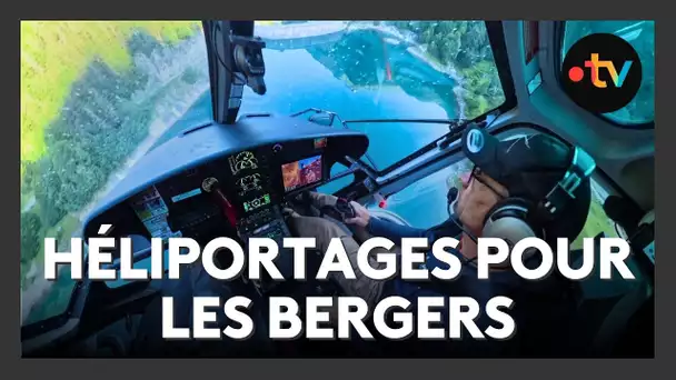 Estives : l’héliportage a commencé en vallée d’Ossau